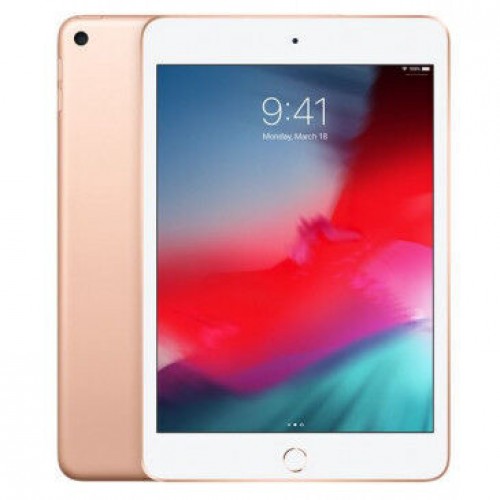 IPAD MINI WI-FI CELLULAIRE 256 Go - OR